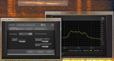 RX-spectral-repair.jpg
