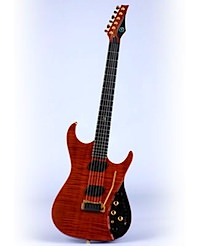 Moog Guitar: Produktbild