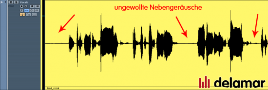 Ungewollte Nebenger&auml;usche in einer Gesangsaufnahme