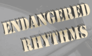Free Bass Loops Free Drum Loops