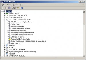 Fehler im Gerätemanager mit Realtek HD Soundkarte Treiber