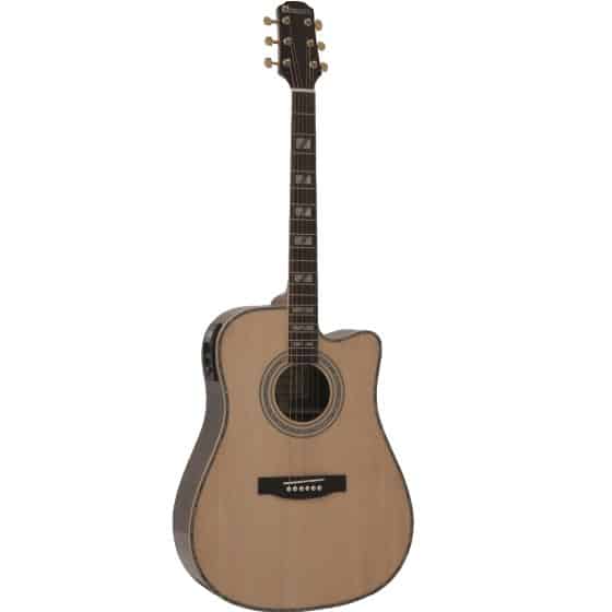 Band Recording - Musikinstrumente kaufen - Dimavery STW-60