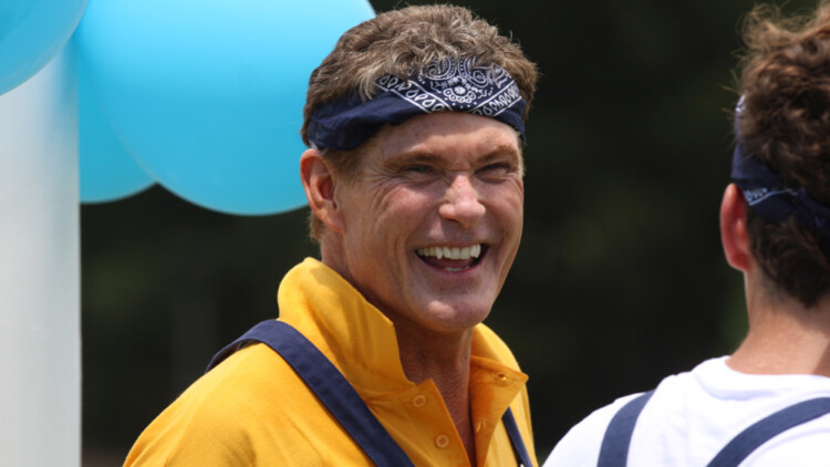 David Hasselhoff als Sänger