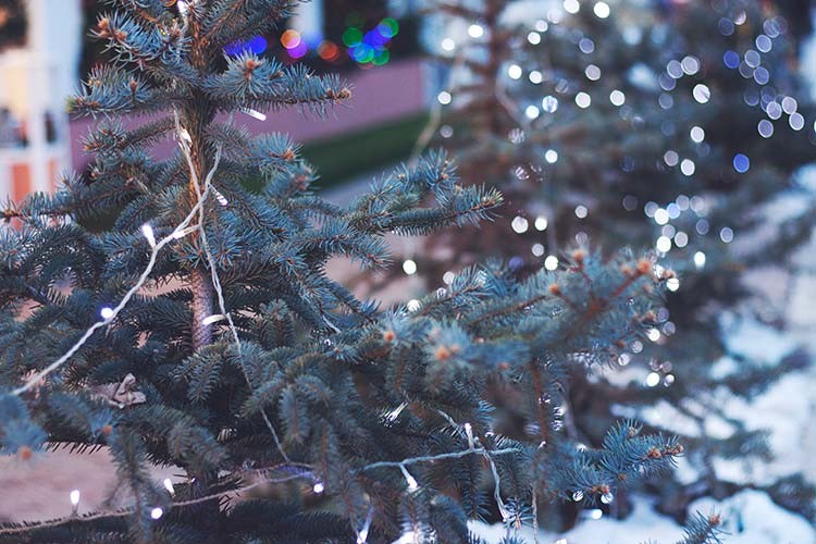 Frohe Weihnachten