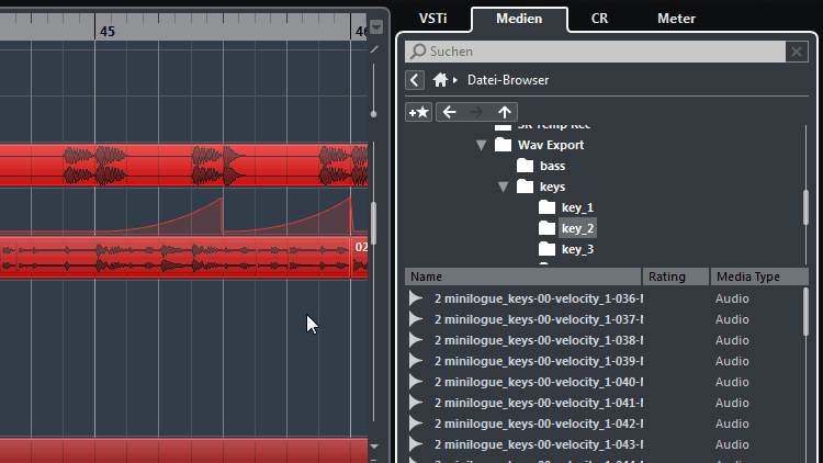 Rechte Zone - Medienbrowser in Cubase Pro 9.5