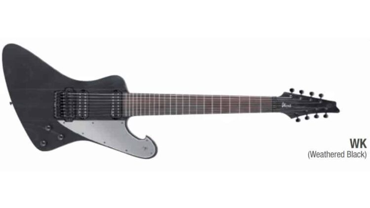 Ibanez FTM33