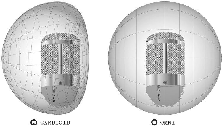 Richtcharakteristika im Limited REDD Microphone Review