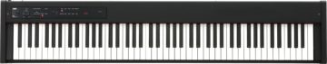KORG D1