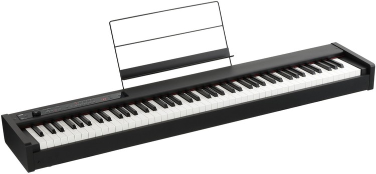 KORG D1