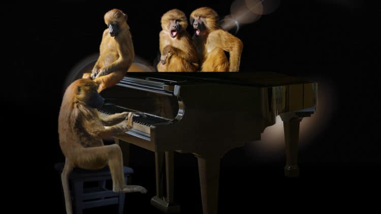 10 musikalische Haustiere