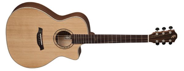Akustikgitarre oder Konzertgitarre - Westerngitarre
