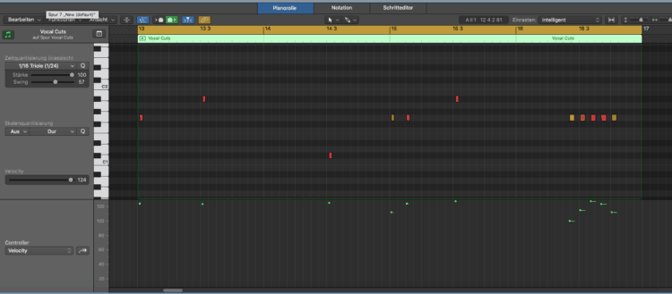 Rap Beats selber machen: Vocal Cuts