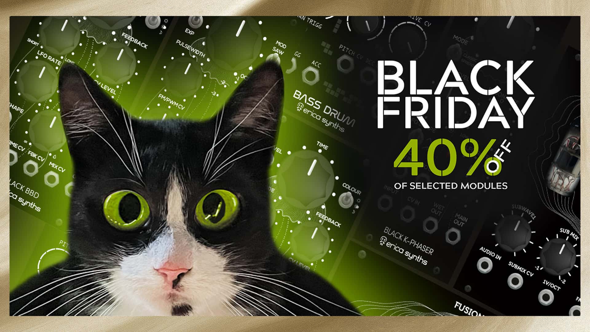 Erica Synths Black Friday Audio