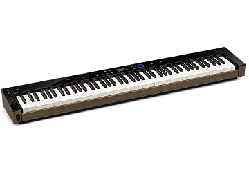 Casio PX-S6000