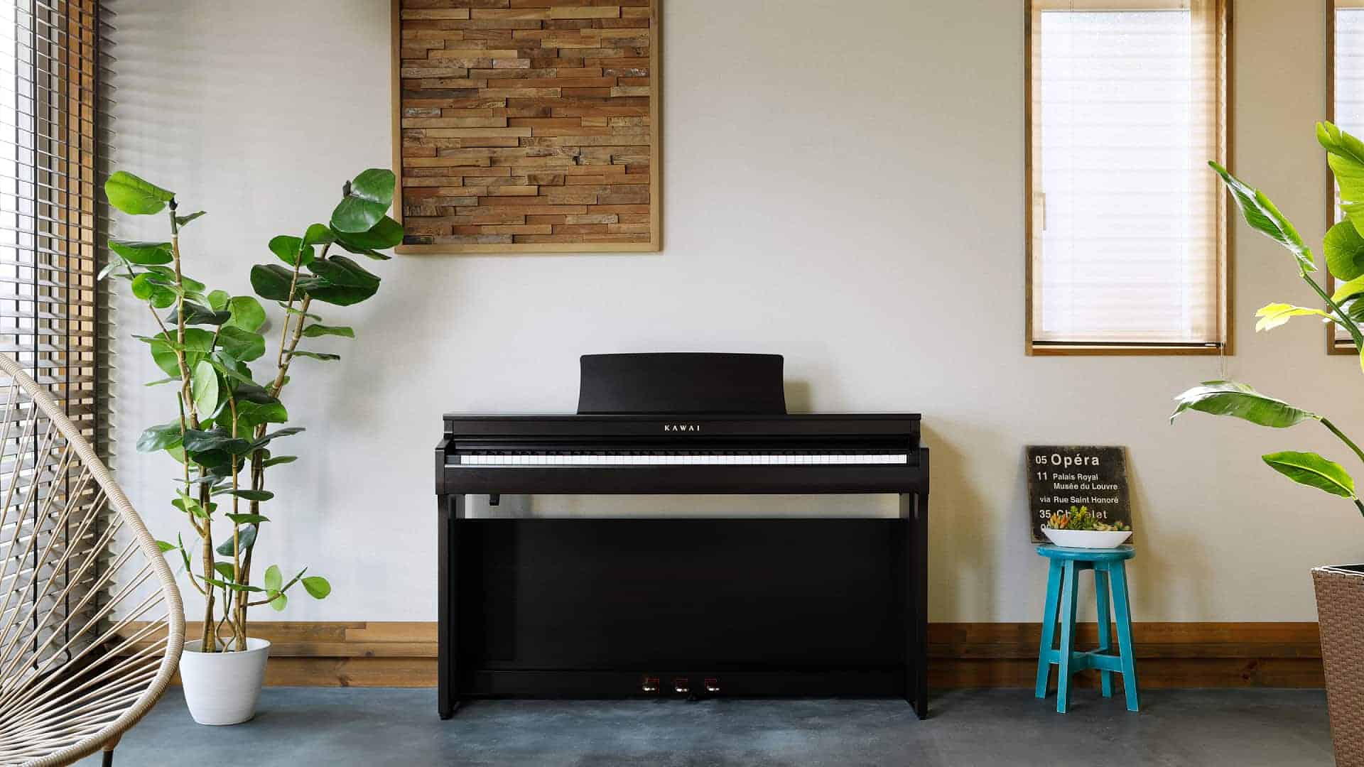 Kawai CN-201 