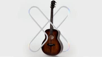 Taylor Guitars x D'Addario