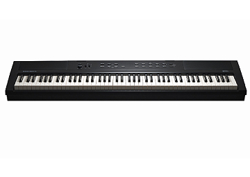 Kurzweil KaE1 klein